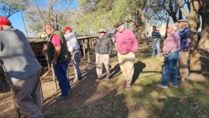 Exitoso remate de La Agrícola Ganadera en San Cayetano