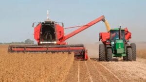 Viento a favor para Milei: el agro podría registrar su segunda mayor cosecha de la historia en 2024