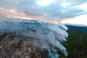Combaten un incendio forestal en el Parque Nacional Los Alerces de Chubut (videos)