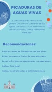 Recomendaciones ante la presencia de agua vivas en la costa