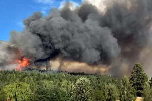 Combaten un incendio forestal en el Parque Nacional Los Alerces de Chubut (videos)