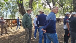 Otro exitoso remate de La Agrícola Ganadera en San Cayetano