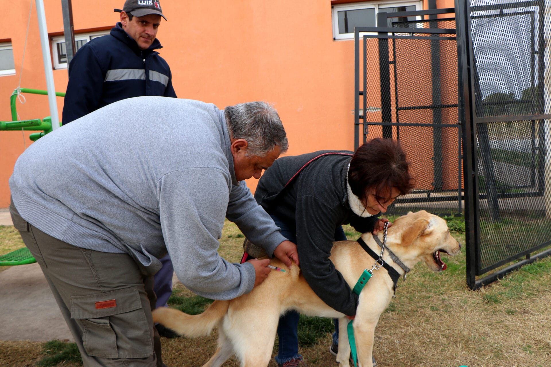 San Cayetano: 150 mascotas recibieron la vacuna antirrábica