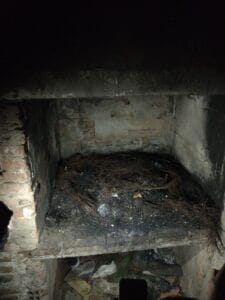 Delito a la parrilla: quemaban cables en un fogón. Investiga la DDI
