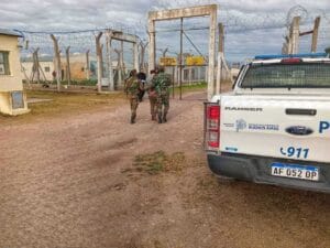 Chaves: Cárcel para dos detenidos por abigeato