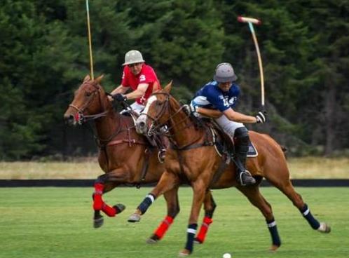 Polo en Orense: De jueves a sábado en la estancia La Celina