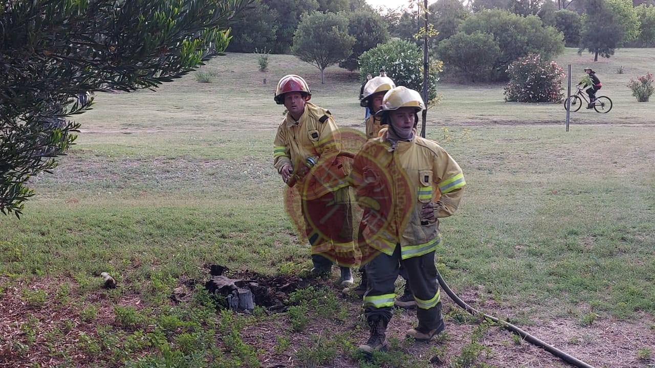 Claromecó: Bomberos controlaron principio de incendio en el Vivero