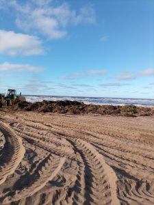 Intensa tarea de mantenimiento luego de la sudestada en la Villa Balnearia