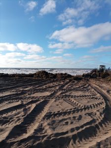 Intensa tarea de mantenimiento luego de la sudestada en la Villa Balnearia