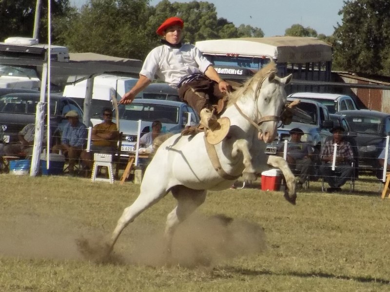 “La del verano”, exitosa propuesta gaucha en el Campo de Doma “El Palenque”