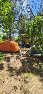 Balneario Orense: A pleno el Camping Médano 40