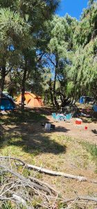 Balneario Orense: A pleno el Camping Médano 40