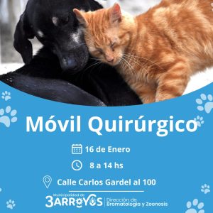 Móvil quirúrgico: este jueves en Calle Carlos Gardel