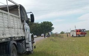 Fatal: murió ciclista en Ruta 73 al chocar con un camión