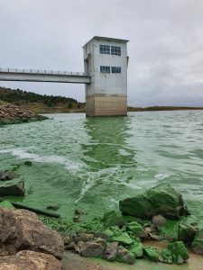 Alerta por presencia de cianobacterias en Paso Piedras y Monte Hermoso