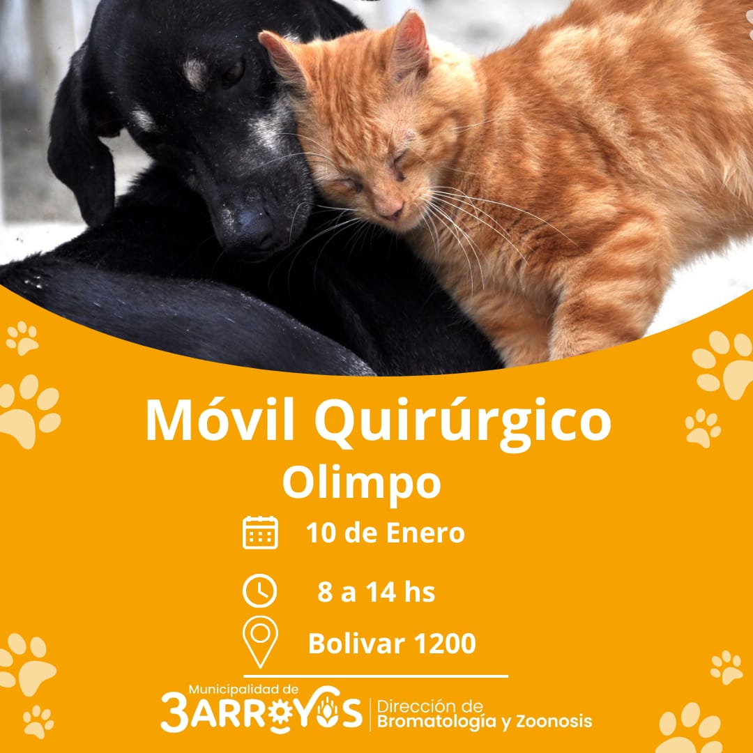 El Móvil Quirúrgico llega a Barrio Olimpo