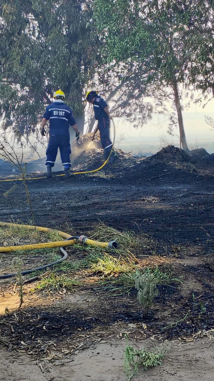 San Cayetano: Bomberos controlan incendio en camino a la bajada al Balneario