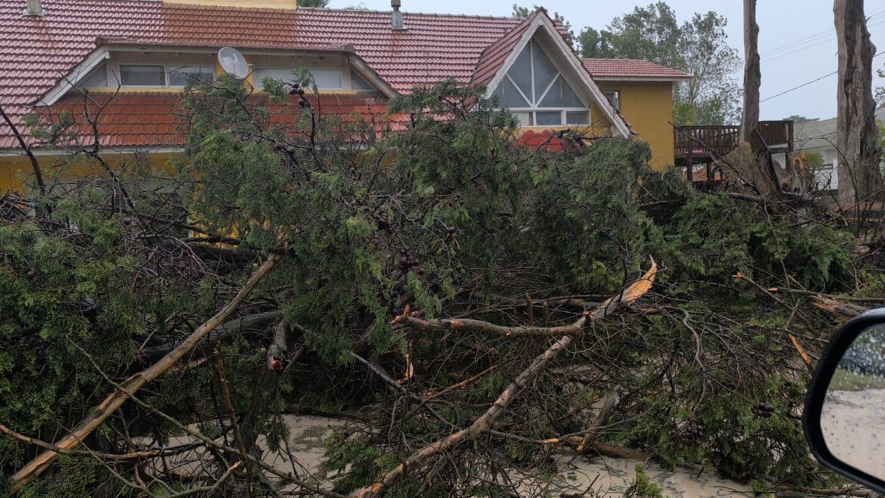 Temporal: reparan daños en Balneario Orense