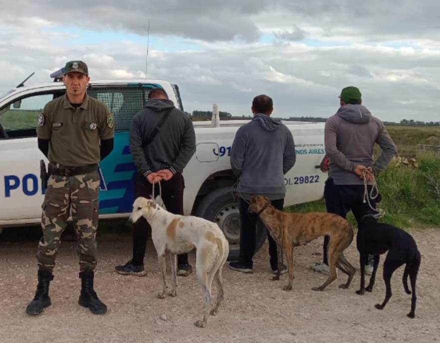 Infracciones por caza furtiva con perros galgos